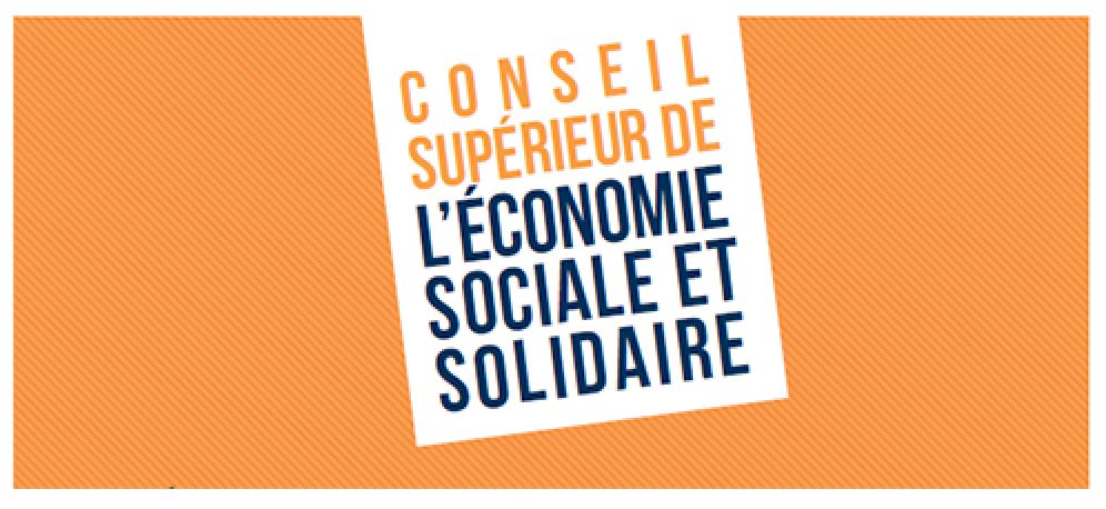 Conseil Suprrieur De L Economie Sociale Et Solidaire
